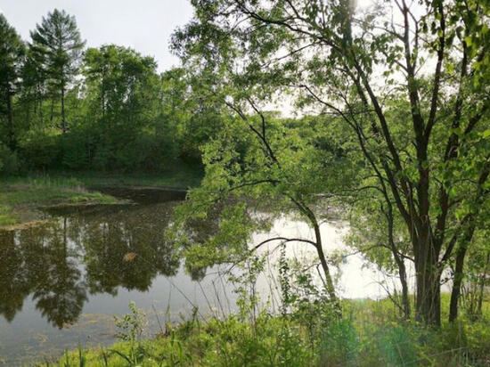 Хабаровчане предложат идеи по благоустройству питомника имени Лукашова