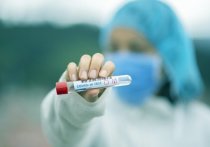 За последние сутки в Алтайском крае выявили 547 новых случаев коронавируса