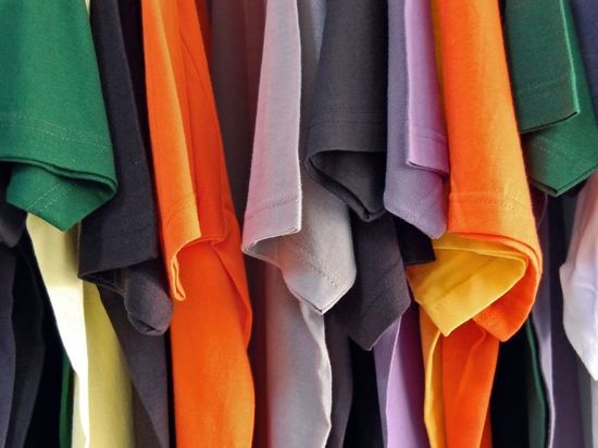Более 300 контрафактных футболок и рюкзаков уничтожат в Кингисеппе