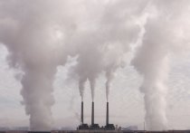На вопрос «кто является источником загрязнения» у надзорных органов не получилось дать привычный ответ.
