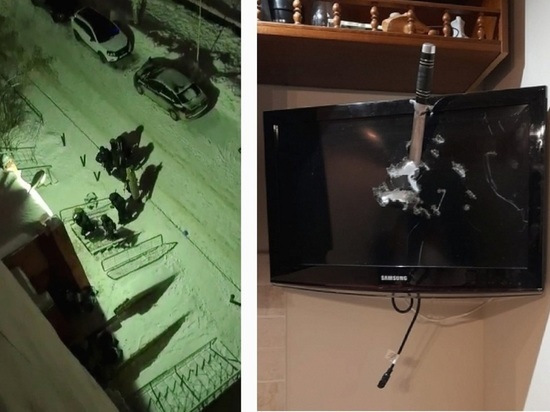 «Воет волком и метает салаты»: соседи о проделках стрелявшего по мебели новосибирца на Горском