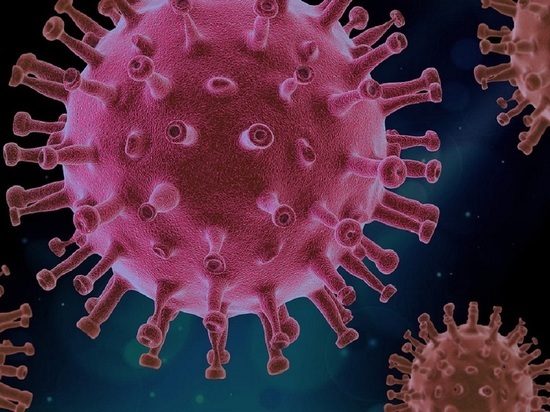 Инфекционист оценил вероятность появления штамма коронавируса, который вытеснит «Омикрон»