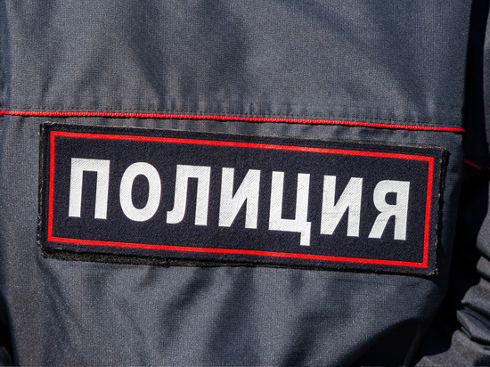 Калмыцкие полицейские ответят перед законом за незаконные обыски и избиение новгородки