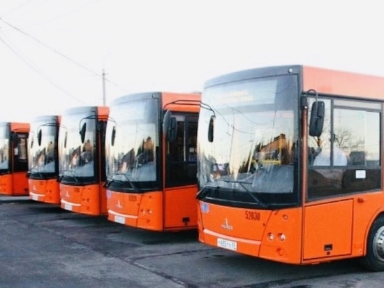 В Калининградской области из-за коронавируса изменилось расписание трех междугородних автобусов