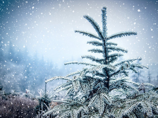 28 января в Смоленскую область придет потепление и пойдет мокрый снег