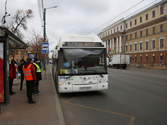 В Воронеже с начала года оштрафовали городских перевозчиков на 250 тысяч рублей