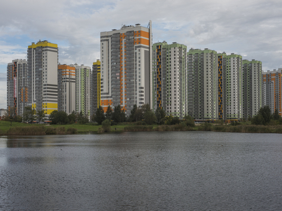 Риэлторы рассказали, стоит ли покупать квартиру в Петербурге в 2022 году