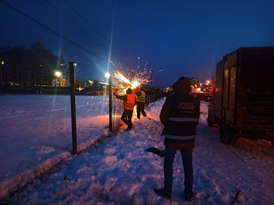 Незаконные парковки ликвидировали в 10 районах Петербурга