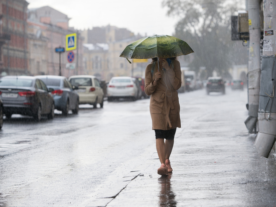 Непрерывный дождь и западный ветер: какая погода ждет калининградцев 28 января