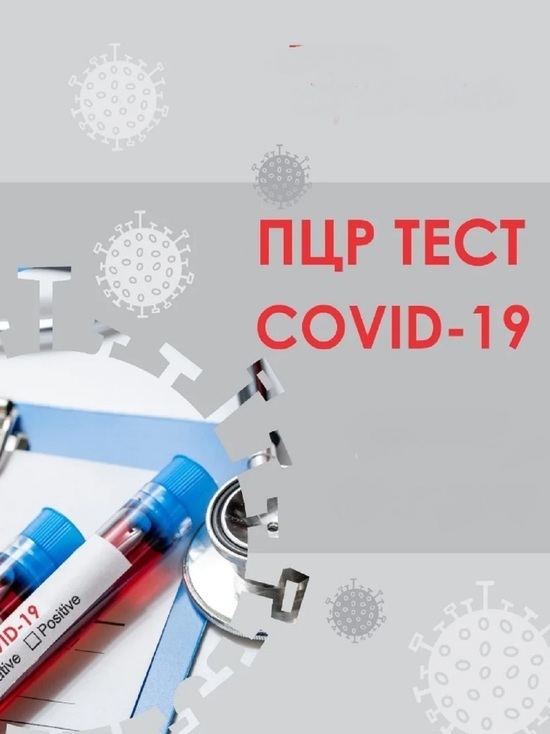Костромское отделение ОНФ просит снизить цену на ПЦР