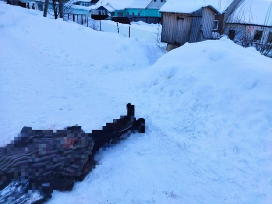 В Скопинском районе Рязанской области насмерть замерзла 71-летняя пенсионерка