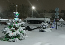 29 января в Рязанской области ожидается снег и потепление до -1 градуса