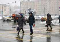 В Гидрометцентре России пообещали москвичам оттепель в последний день января