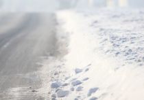 Выходные принесут в Ленобласть снег и 14-градусные морозы