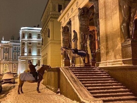 Петербуржцы затащили лошадей на портик Нового Эрмитажа в погоне за красивыми снимками