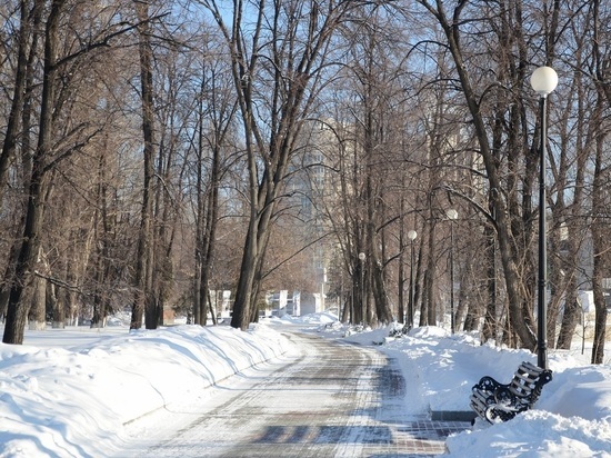 Екатеринбургских водителей обвиняют в загаживании парка Победы