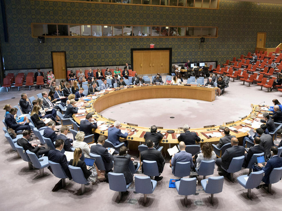 Политолог раскрыл цель созыва американцами заседания Совбеза ООН по Украине