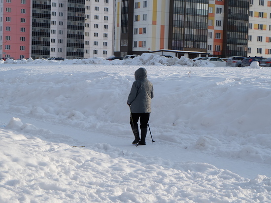 Февраль в Новосибирске начнется с метелей и оттепели