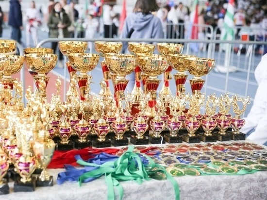 Спортсмены из ДНР завоевали более тысячи медалей за рубежом
