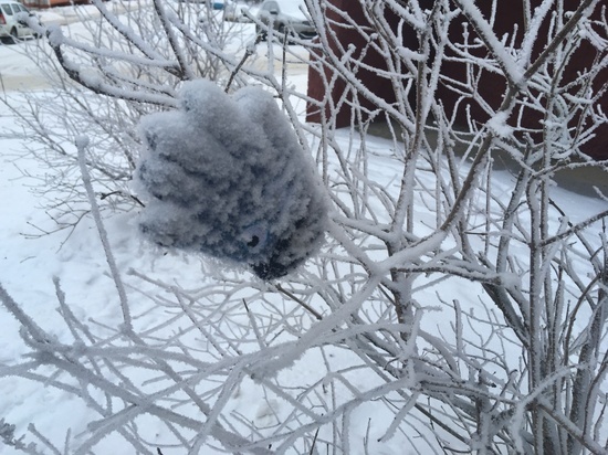 В Смоленской области зафиксировано рекордное количество заболевших вирусом за январь