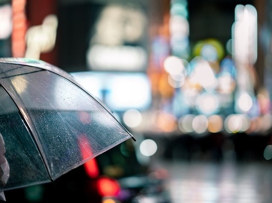 В Калининградской области в воскресенье во второй половине дня ожидаются порывы ветра до 30 м/с