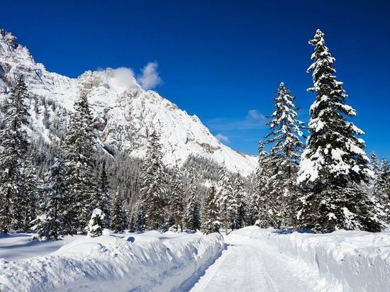Дорогу Мишуково — Снежногорск будут перекрывать 5 дней