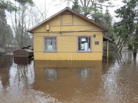 В Полесском округе Калининградской области прорвало дамбу