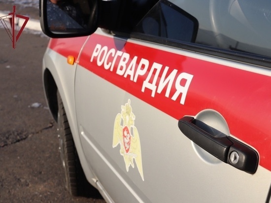 Росгвардейцы задержали укравшего телефон забайкальца с помощью такси