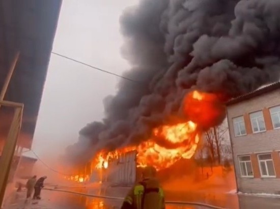 В Пскове выяснят, что стало причиной крупного пожара на промышленном складе