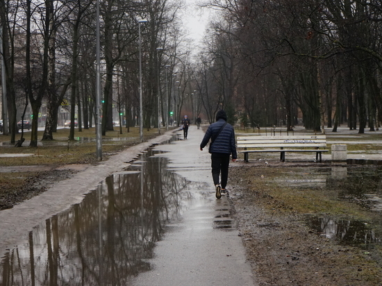 Какую погоду ожидать калининградцам в первую неделю февраля