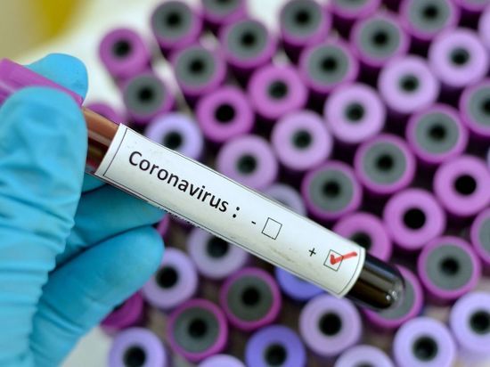 Число заболевших коронавирусом в Мурманской области достигло 777 за сутки