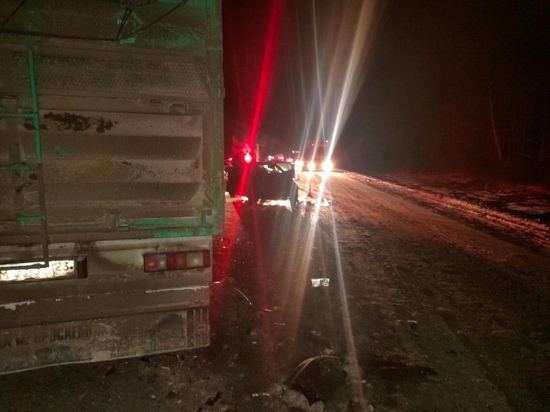 Полиция ищет очевидцев смертельного ДТП на трассе М-5 в Шацком районе