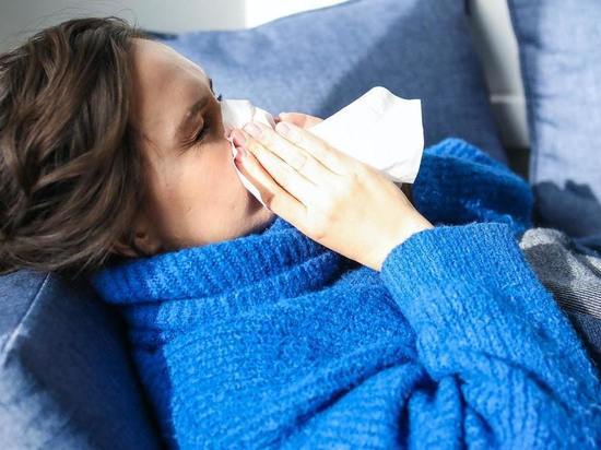 Роспотребнадзор сообщает о росте случаев гриппа и ОРВИ в Башкирии