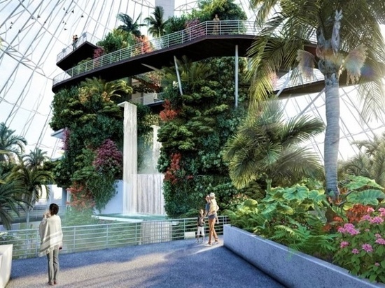 В Когалыме появится ботанический сад с тропическим лесом
