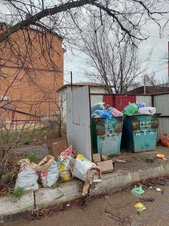 В столице Калмыкии установят дополнительные мусорные контейнеры