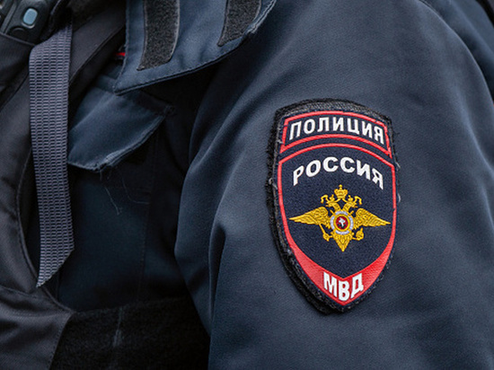 Полиция Брянска задержала подозреваемого в серии краж