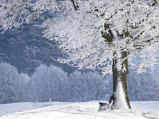 1 февраля в Смоленской области весь день будет идти снег