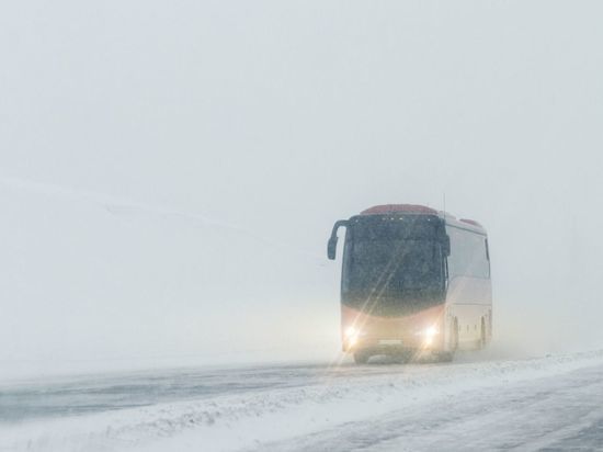 Автобусы из Петербурга в Хельсинки будут ходить ежедневно