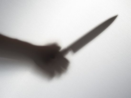 Напавший с ножом на школьницу петербуржец признан невменяемым