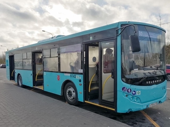 Новый автобусный маршрут свяжет четыре района Петербурга