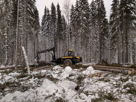 Святое лесорубное воинство появилось в Архангельской области