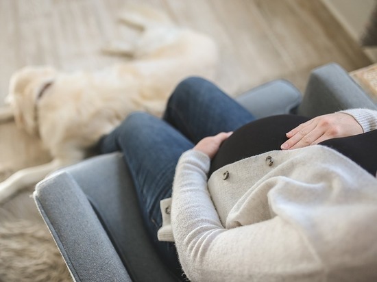 В Курской области 76 привитых от коронавируса беременных оформили выплаты в 5 тысяч рублей