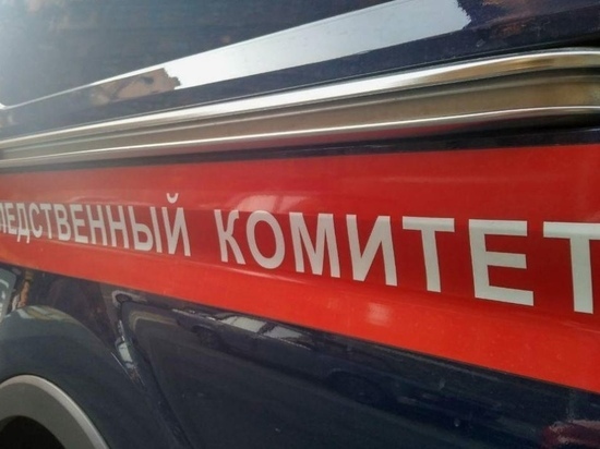 В Кирове Следком разыскивает пропавшую в октябре 2021 года женщину
