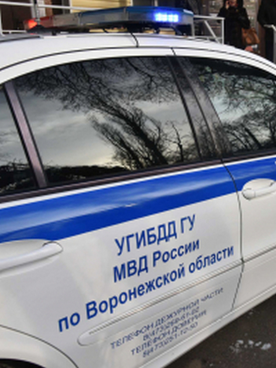 Два жителя Воронежской области отправились в колонию за систематическое пьяное вождение