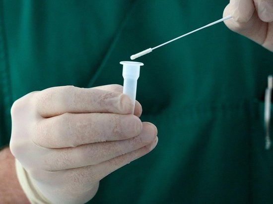 В Белгородской области увеличат объем тестирования на COVID-19