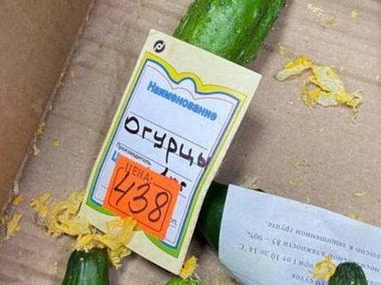 Цена на брянские огурцы превысила 400 рублей за килограмм
