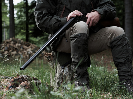 В Славске мужчину привлекли к уголовной ответственности за незаконную охоту на лосей