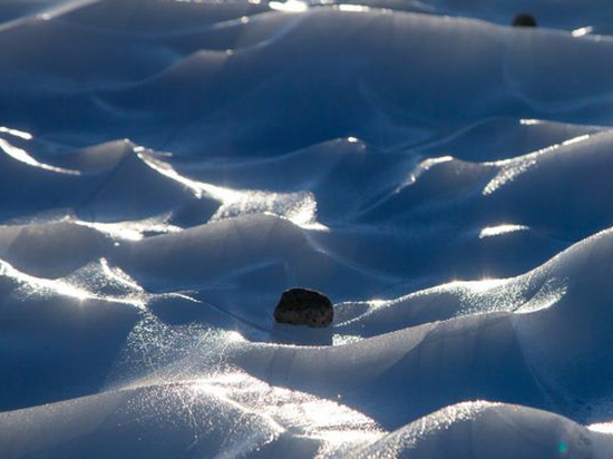 Найденный в Антарктиде метеорит разложат на атомы