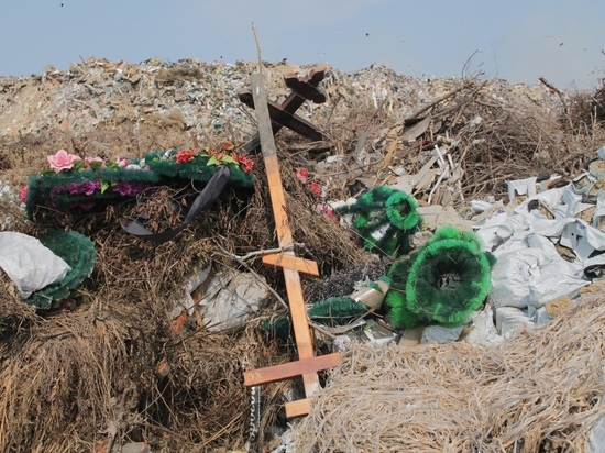 Мэрия Новосибирска подала апелляцию на новые границы Клещихинского кладбища