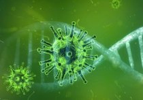 В Забайкалье циркулируют два штамма коронавируса - «дельта» и «омикрон»